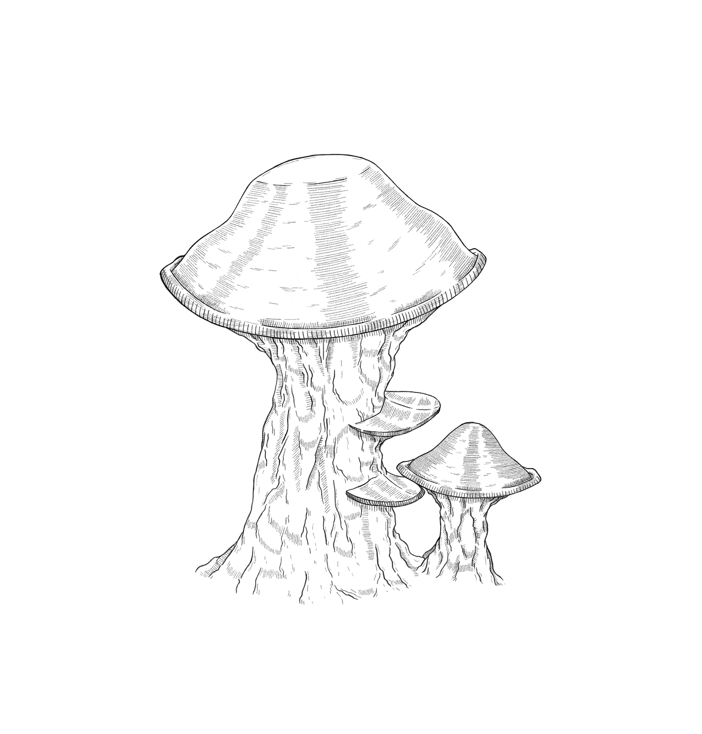 Sticker - Mushroom